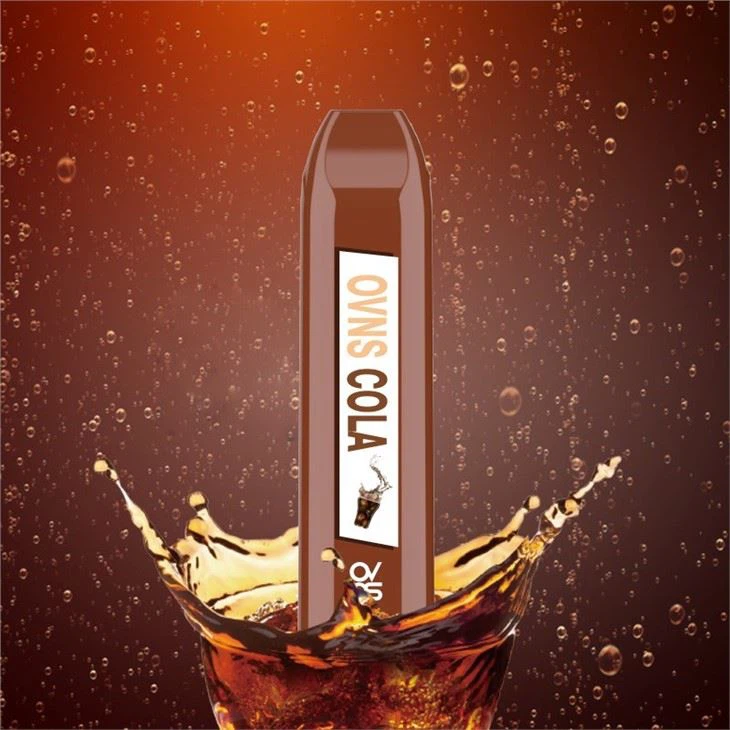 Disposable Pods System E-Cig OEM Brand 500 Puff Custom Packaging Disposable Pods System E-Cig OEM Brand 500 Puff Custom Packaging