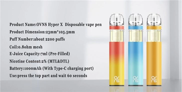 Top Sale Factory Wholesale Disposable E-cigarette Vaporizer
