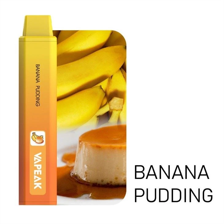 5000 Puffs Disposable Vape