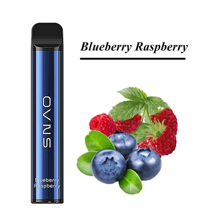 Disposable Smoking Vape