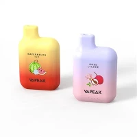 5000/6000 פחזניות Vape חד פעמי ארה"ב שוק