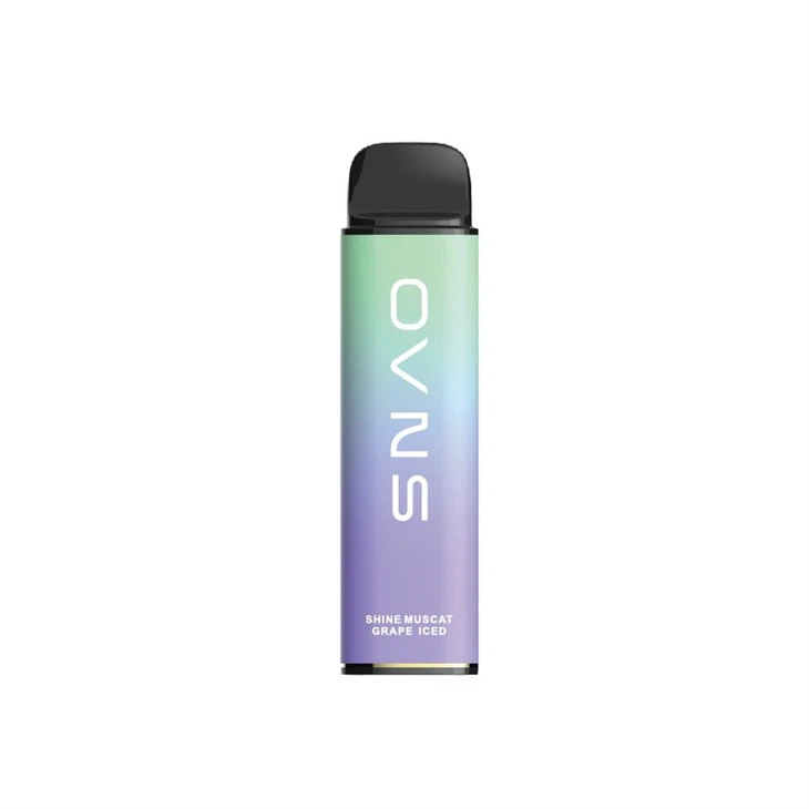 OEM Disposable Vape 6000 Puffs 15ml Liquid Capacity Disposable Vape OEM Disposable Vape 6000 Puffs 15ml Liquid Capacity Disposable Vape