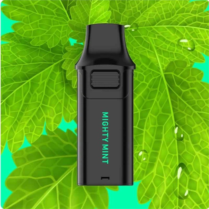 The Future Disposable Vape The Future Disposable Vape