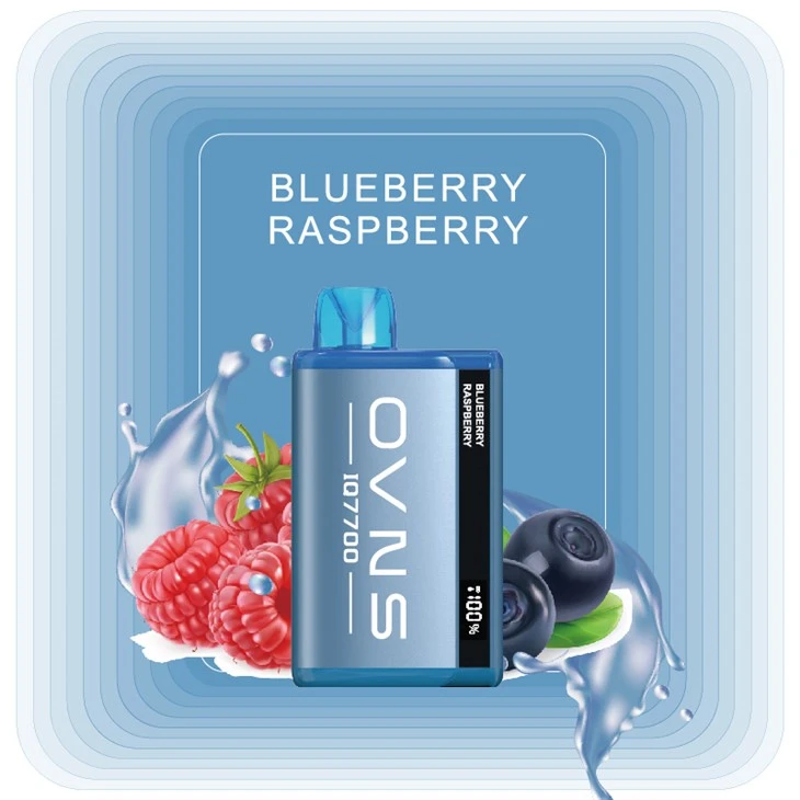 Brand New  10000 Puffs Rechargeable Disposable Vape
