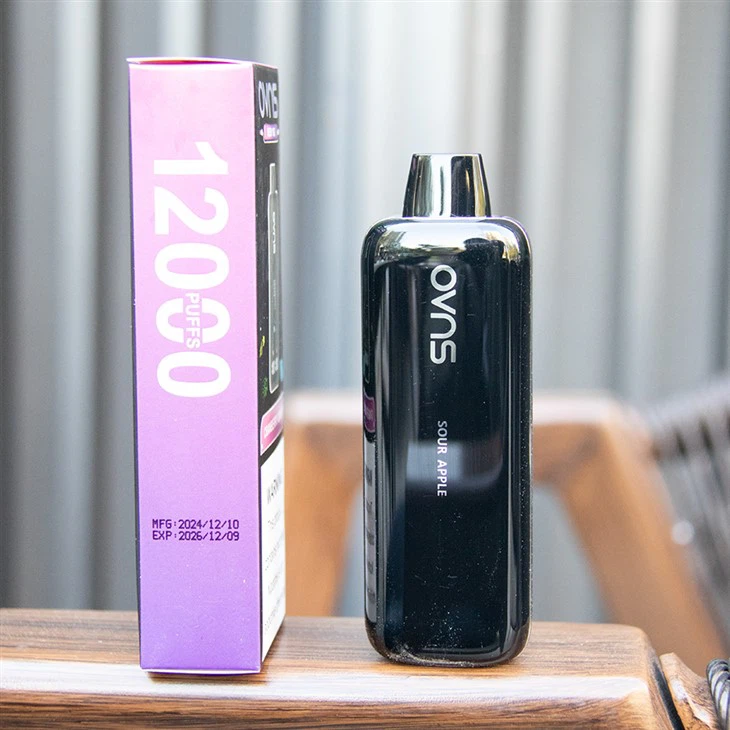 Best  Popular Disposable E-Cigarette Vape Brand 2025